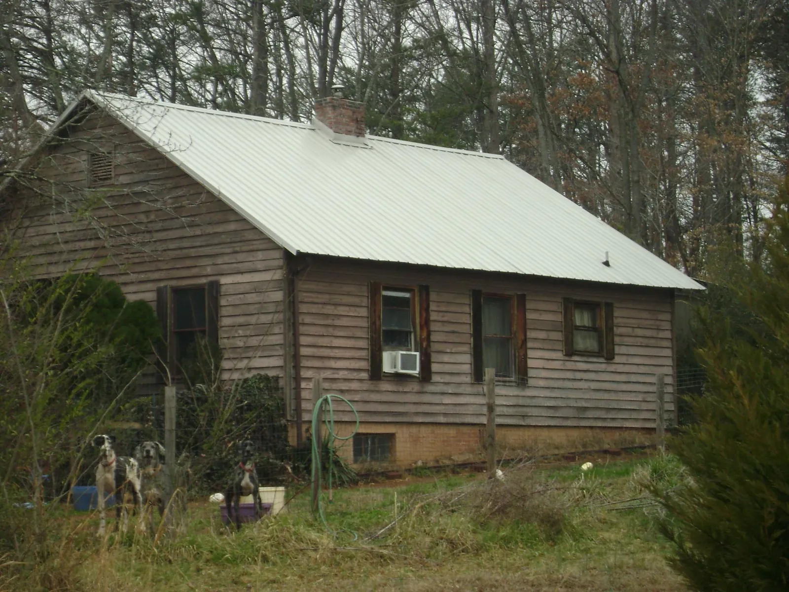 White metal roof on an old wood sided farmhouse, from a Metal Roof Installation job in Lake Elmo